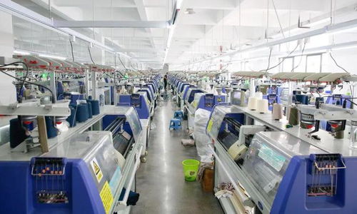 柳城有家針織衫廠,衣服全部出口歐美