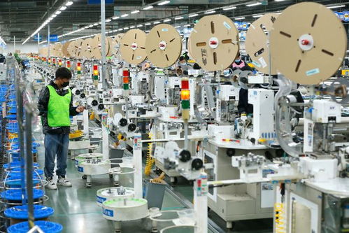 組圖 山東出口企業開工忙,力爭新年 開門紅